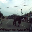 활보농장 이미지