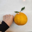 화월농장 이미지