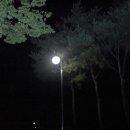 장수주공아파트 이미지