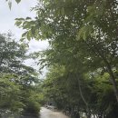 용추캠프&캠핑