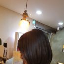 헤어바이반룬하우트 이미지