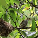 이소농장 이미지