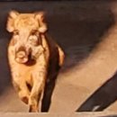 중상경로당 이미지