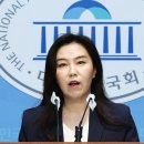 [단독] &#39;이재명 정부&#39; 초대 대통령실 대변인에 비례 강유정 유력﻿ 이미지