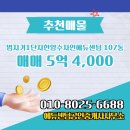 에듀로공인중개사사무소 | 아름동 매매 5억 4,000 - 에듀센텀공인중개사사무소