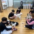 수원-0514 이미지