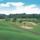 본24골프 이미지