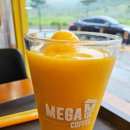 메가MGC커피고흥