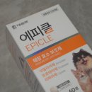 대웅동물병원 | 고양이 영양제추천 췌장염 소화효소 보호제 대웅펫 에피클