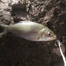 고지소류지 이미지