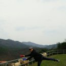 칠곡양떼목장 이미지