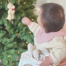 혼자 하고 싶은게 많아지는 너(14개월 아기일상, 재접근기, 걸음마연습, 모방행동, 언어발달, 어금니...