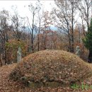 박세영선생묘 및 신도비 이미지