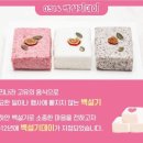 팜데이 이미지