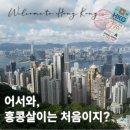 바비 펫 | 애견미용사 홍콩 워킹비자 받기 | 홍콩에서 월세 200만원짜리 집은?!