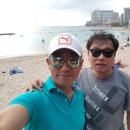 와이키키브라더스 이미지