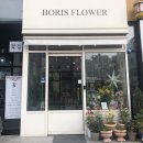 보리스플라워 이미지