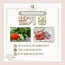 푸르디농장 이미지