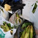 정란농장 이미지