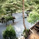 영월힐링숲펜션 이미지