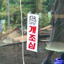 청주 몸보신 오창 맛집 동천꼴 풍천장어 후기