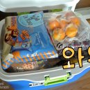핑크라마 이미지