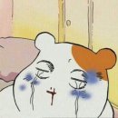 플레져 Daum카페