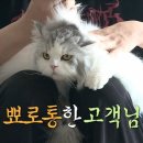 깜짝 이미지