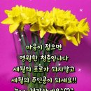 거안 이미지