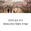 아라분식 | 인천 청인 아라뱃길 매화동산, 지금 떠나기 딱 좋은 가족 여행지