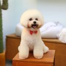 몽글 몽글 이미지