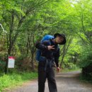 고캠프홈 이미지