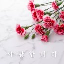한우특급