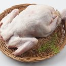 한국육계유통 이미지