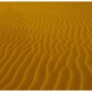 문탠로드 이미지