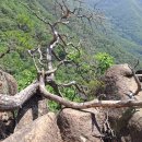 김동삼 행정사 사무소 이미지