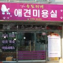 순도리네애견 네이버블로그