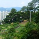 새동네다방 이미지