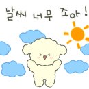 모리커피경주 이미지