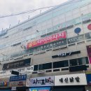 골드타이 이미지