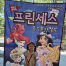 프린세스 공주뮤지컬쇼 이미지