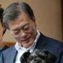 토리 이미지