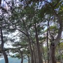 금장해수욕장 이미지