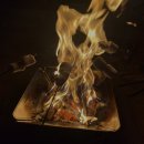 몽산포자동차야영장 | 태안 몽산포 국립공원 자동차 야영장 (캠핑장) 솔직 후기