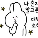 주성카써비스 이미지