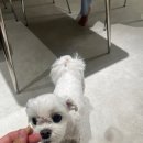 우리산책까까 이미지
