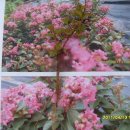 무진목장 이미지