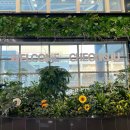 여주-0836 | 혼자 외로운 오사카 고베 여행 1일차(TMI투성이)