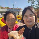 야로목욕탕 이미지