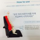 라인카이로프랙틱 이미지
